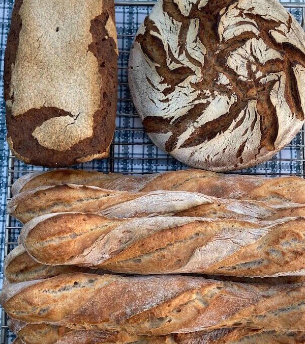 Workshop Traditionsbäckerei – 2