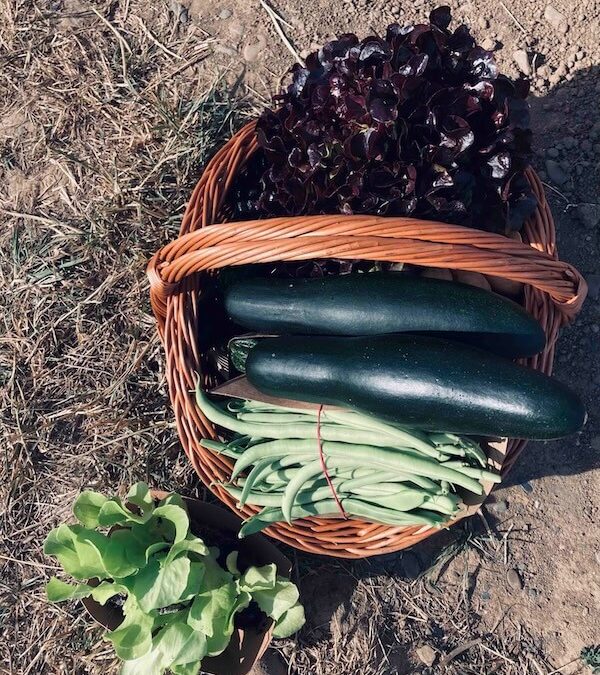 Bauern-Dinner für alle