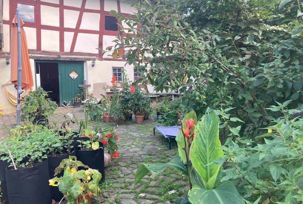 Glückssteine, Hühnergötter und Klezmer Musik